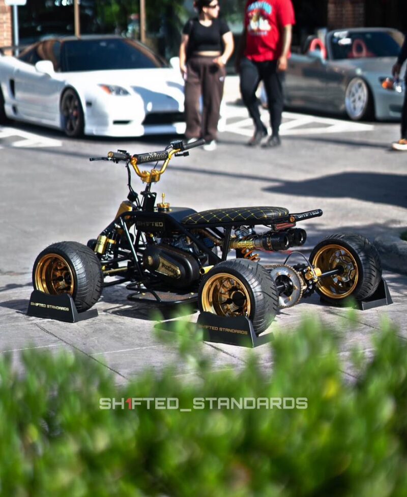 THE GOLD MINI QUAD - Image 5