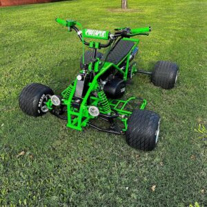 The Grinch Mini Quad