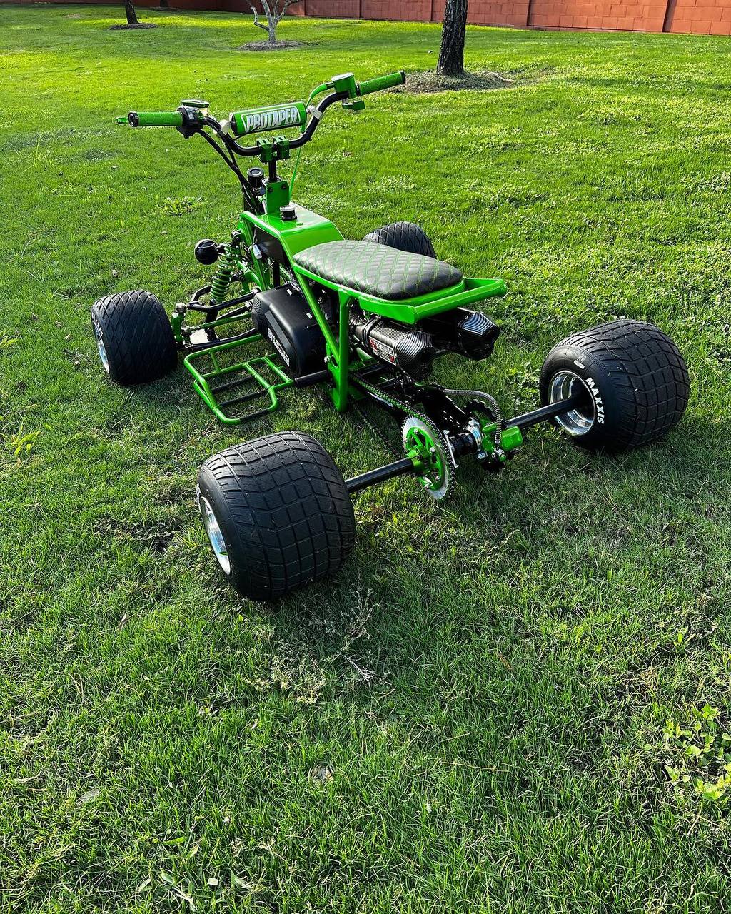 The Grinch Mini Quad